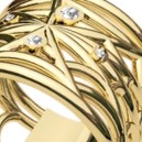 Spider Web Ring